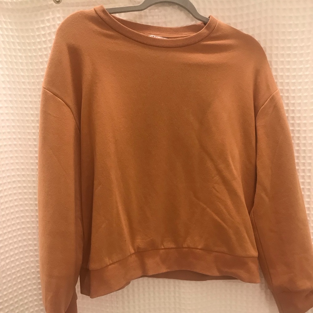 Cropped sweater. Zara. Burnt orange
